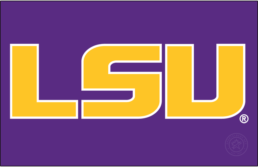 LSU Tigers 2014-Pres Alt on Dark Logo diy DTF decal sticker